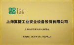 2026-2029专精特新