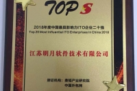 2018中国最具影响力ITO20强-江苏明月