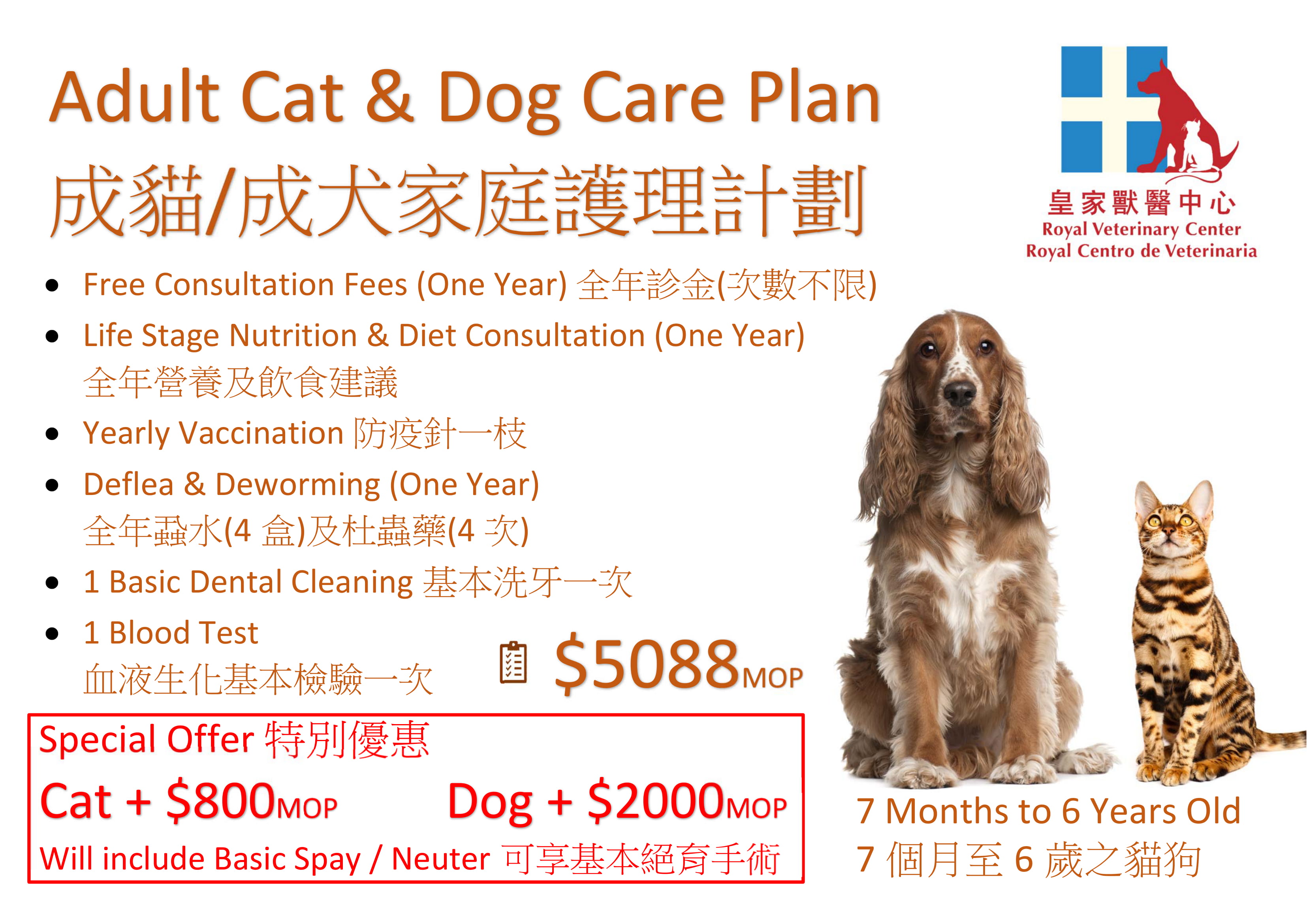 Audlt Care Plan-1