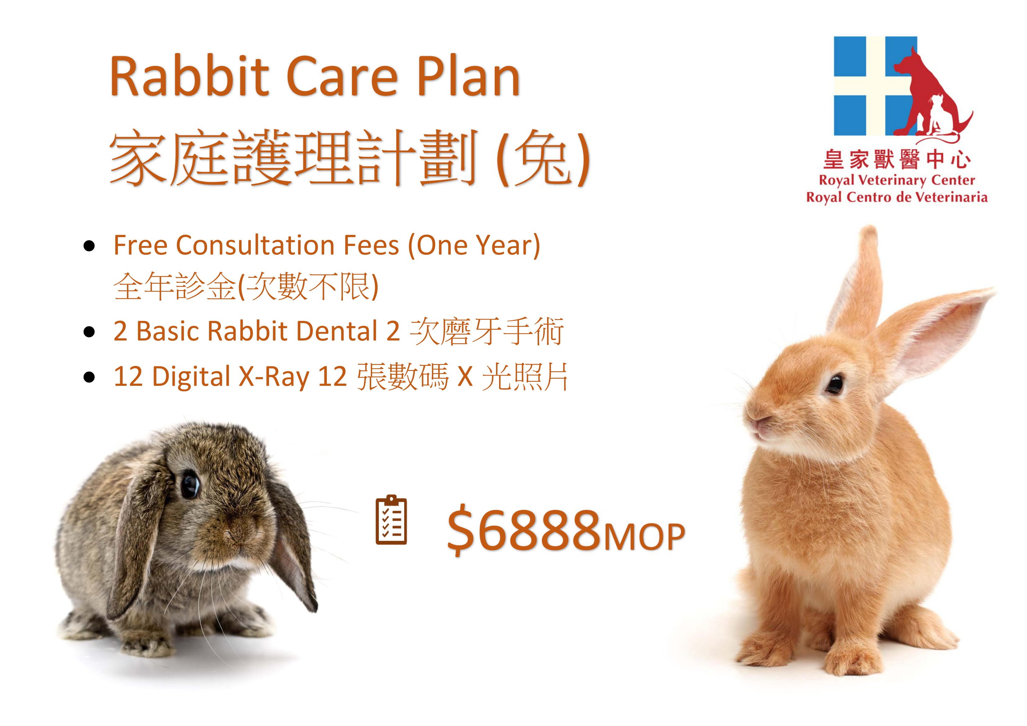Rabbit Care Plan-1
