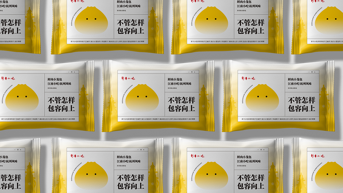 方案汇报