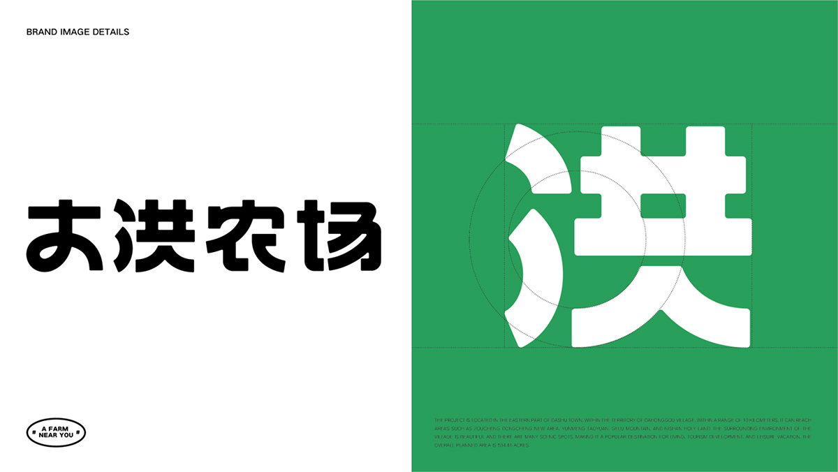 圖片11
