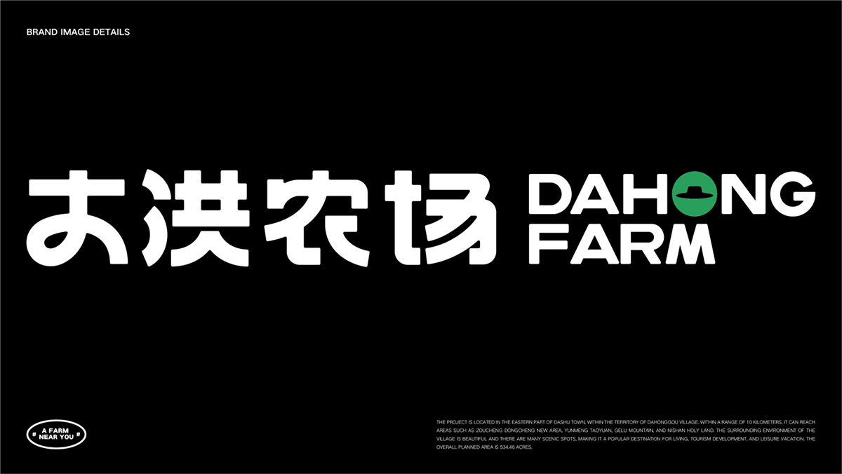 大洪農場