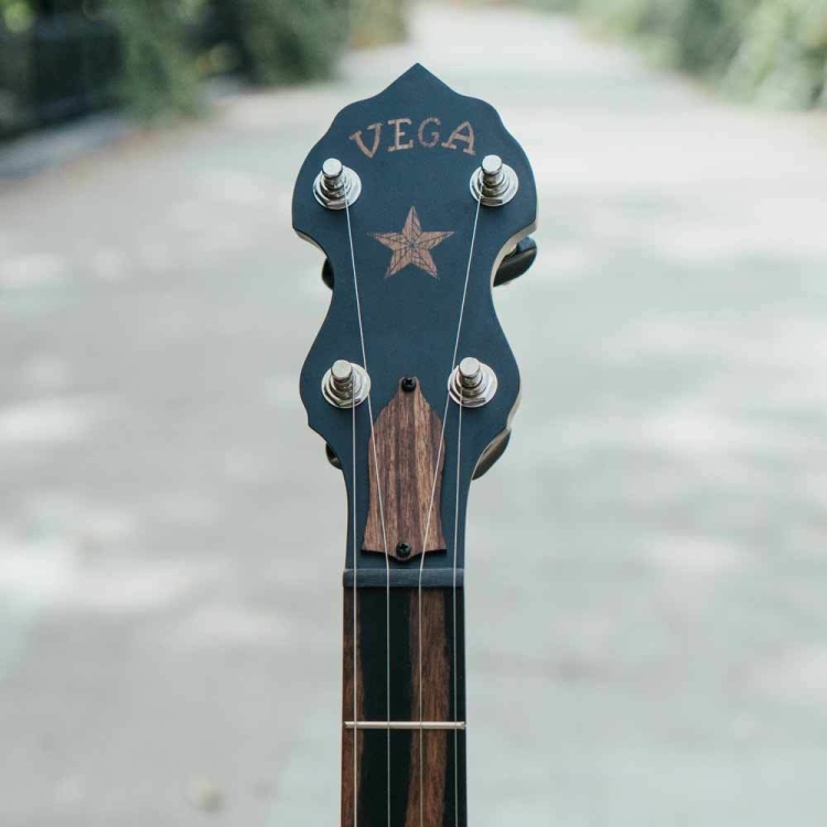 vega-vintage-star-peghead-bridge_1024x1024