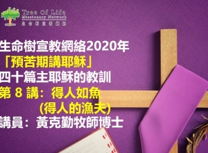cover pic 8