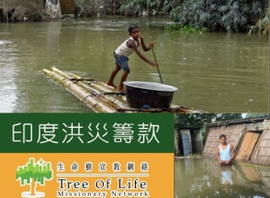 WebPage news cover (500 × 400 像素)