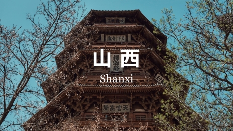 城市_31