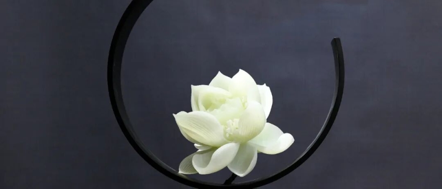 590a4976157f79db90de4ff8c5234342-sz_32266.jpg