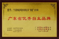 09-广东省自主优秀企业