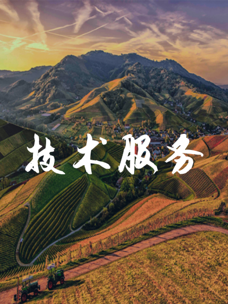 技術(shù)服務(wù)