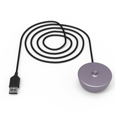 2422 charger purple