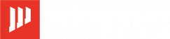 WINGMAX维迈视logo(1)-04