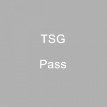 装备背景_TSG Pass