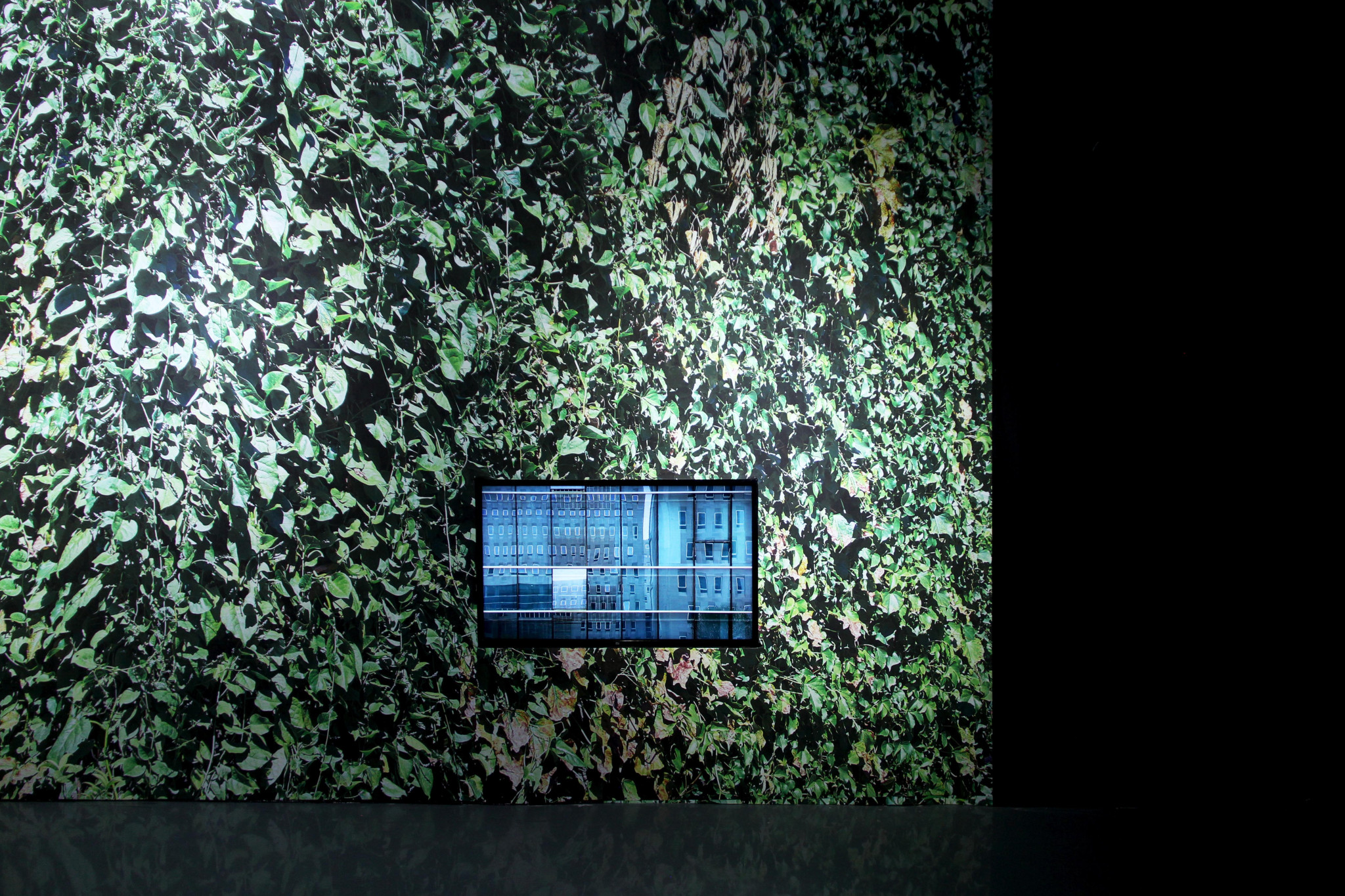 集美·阿尔勒国际摄影季 Jimei × Arles International Photo Festival