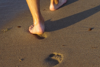 d88892e408de94cfb13bfd5b9a92d2b2.png