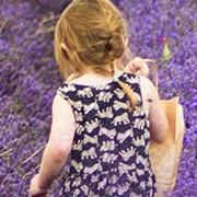 banner2-180x180_04