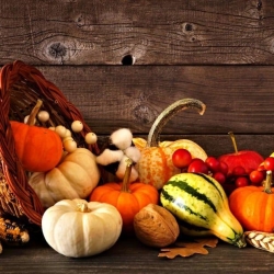 fruit_banner