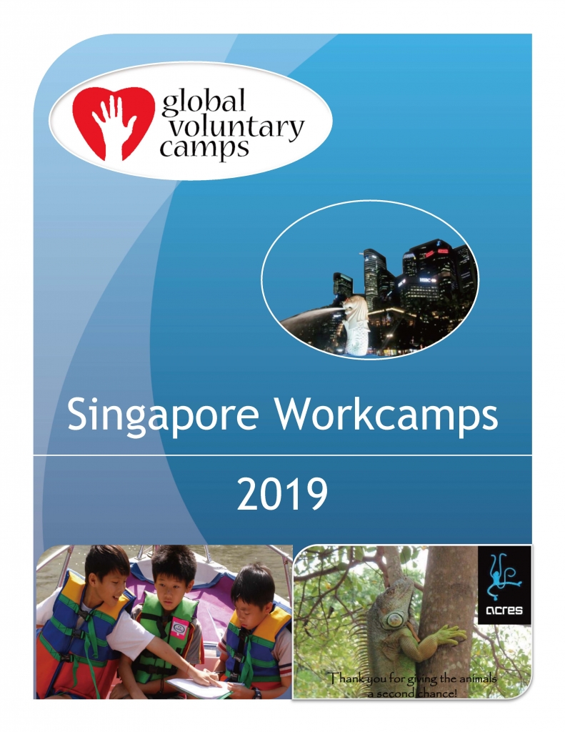 GVC SG WorkCamp 2019_页面_01