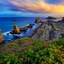 Costa-Quebrada-Cantabria-Spain-Biscay-Bay-flowers-rocks-sunset_1680x1050