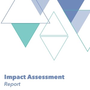 页面提取自－Impact Assessment Report