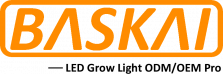 baskai logo