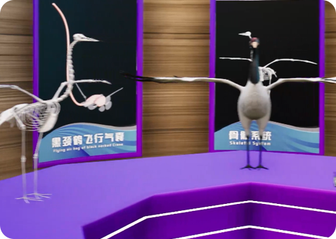 云南這里--VR應用領域之科普教育模擬鳥類標本展示