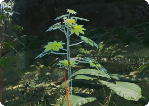 云南這里--VR應用領域之科普教育模擬植物生長1