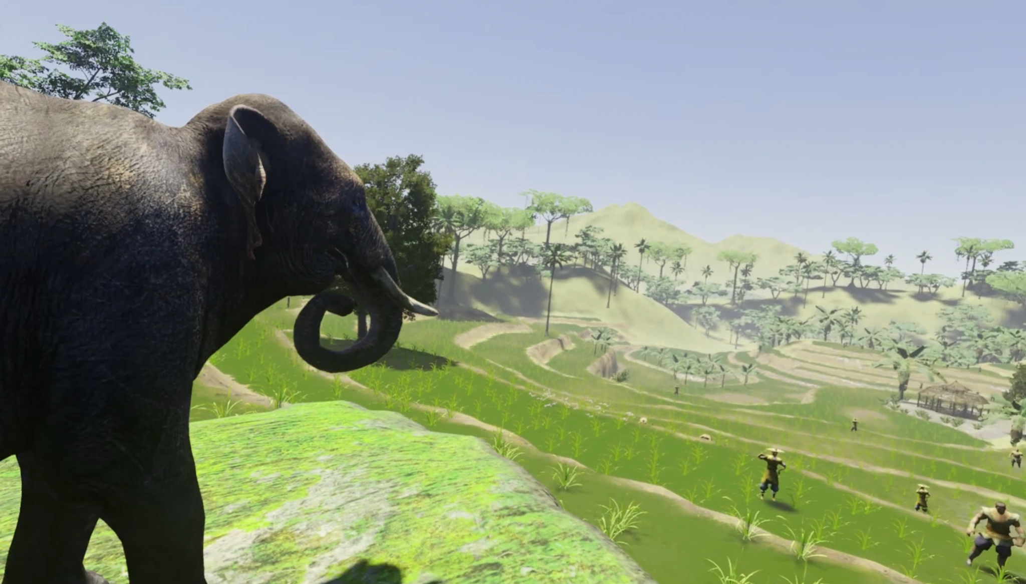 云南这里--亚洲象探寻之旅VR场景图2
