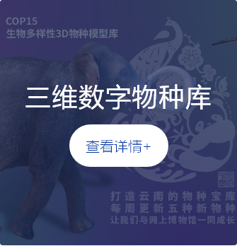 三維數(shù)字物種庫