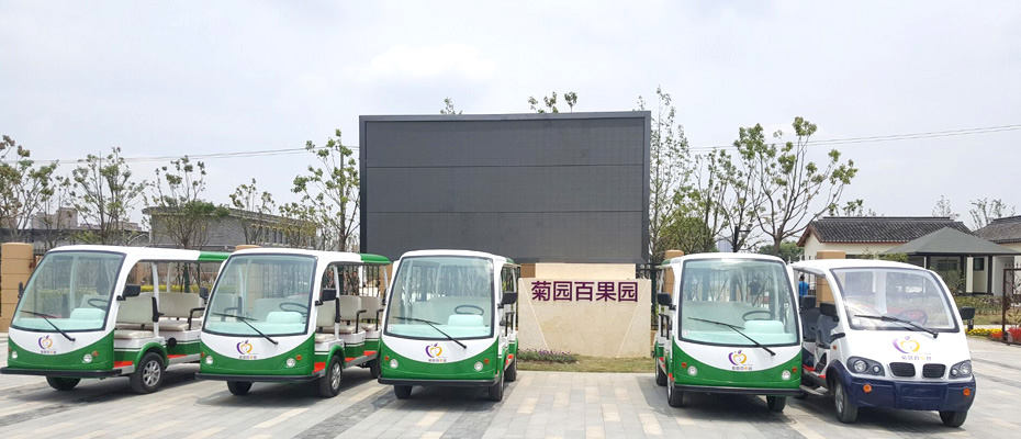 上海菊园百果园电动观光车