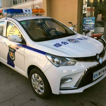 雷丁小王子全封閉帶空調電動巡邏車