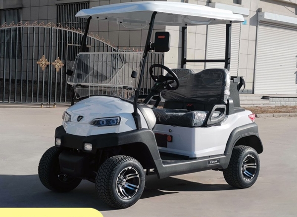兩座高爾夫球車,中宜電動車,中菲宜達高爾夫球車,安步優品
