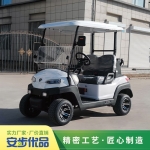 兩座高爾夫球車,中宜電動車,中菲宜達高爾夫球車,安步優品