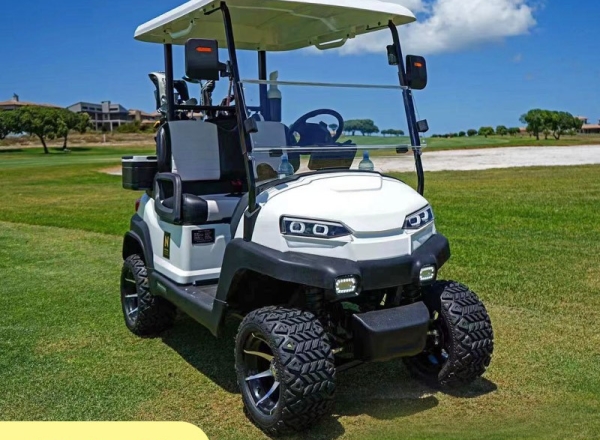 兩座高爾夫球車,高爾夫球車,golf car,高爾夫球車報價,高爾夫球車廠家