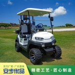 兩座高爾夫球車,高爾夫球車,golf car,高爾夫球車報價,高爾夫球車廠家