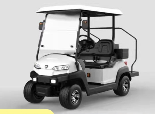 兩座高爾夫球車,高爾夫球車帶球童踏板,golf car,高爾夫球車圖片,高爾夫球車報價,高爾夫球車生產廠家