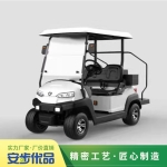 兩座高爾夫球車,高爾夫球車帶球童踏板,golf car,高爾夫球車圖片,高爾夫球車報價,高爾夫球車生產廠家
