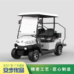 兩座高爾夫球車,高爾夫球車帶球童踏板,golf car,高爾夫球車圖片,高爾夫球車報價,高爾夫球車生產廠家