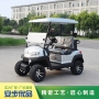 兩座高爾夫球車,高爾夫球車,golf car,高爾夫球車圖片,高爾夫球車報價,高爾夫球車生產廠家