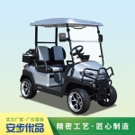 2座高爾夫球車,高爾夫球車圖片,高爾夫球車報價,高爾夫球車廠家