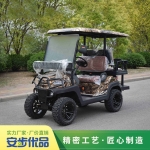 2+2座高爾夫球車,高爾夫球車,golf car,高爾夫球車圖片,高爾夫球車報價,高爾夫球車生產廠家