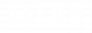 中国领先的互联网家谱服务平台