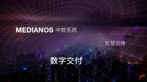 中数系统谈数字交付