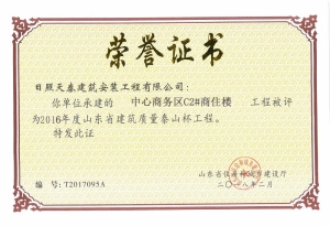 泰山杯中心商務區
