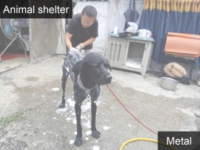 Animal shelter