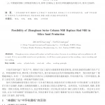 杨连国-“中环柱磨机”取代“棒磨机”在硅砂生产中的可能性-1_1