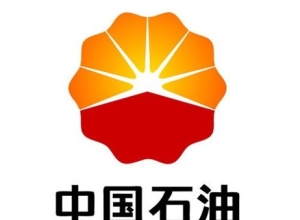 For Brand Logo