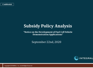 20200923 Subsidy Policy Analysis 2