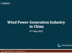 EN_Wind_Power_Generation_Industry_in_China_2022.05.17