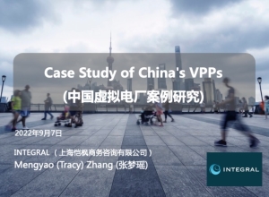 VPP_Presentation_at_Suzhou_20220902